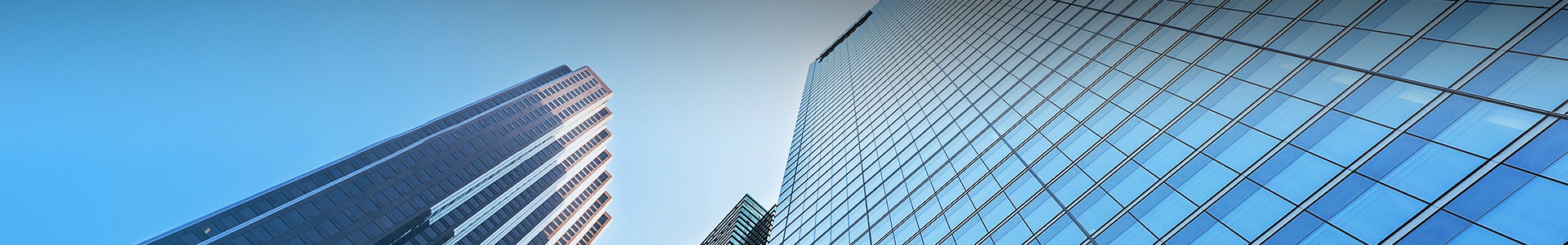 關于鴻祺 關于鴻祺