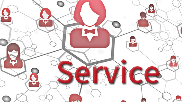 服務(wù)優(yōu)勢(shì) 服務(wù)優(yōu)勢(shì)